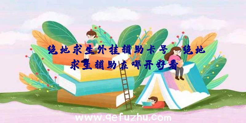 「绝地求生外挂辅助卡号」|绝地求生辅助在哪开好看